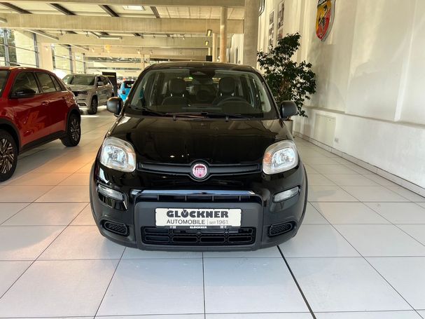 Fiat Panda 51 kW image number 2