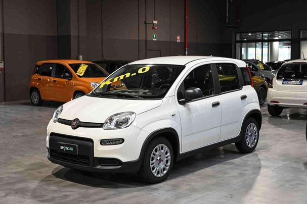 Fiat Panda 1.0 Hybrid 51 kW image number 20