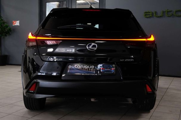 Lexus UX 250h Executive Line 135 kW image number 25