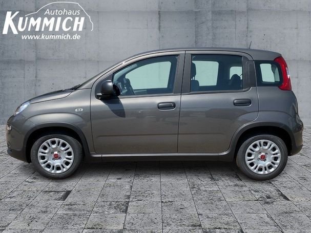 Fiat Panda 1.0 Hybrid 51 kW image number 6