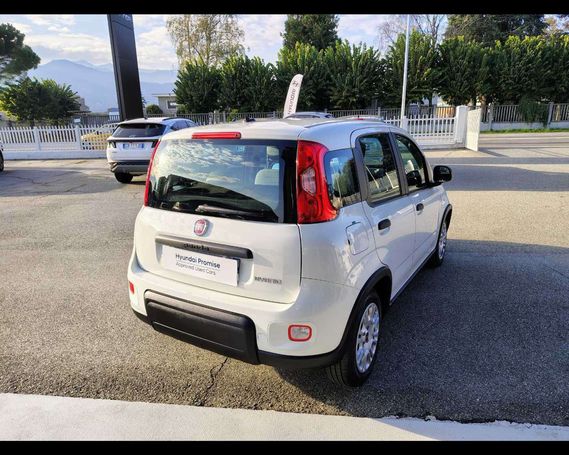 Fiat Panda 1.0 Hybrid 51 kW image number 7