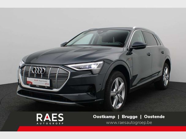 Audi e-tron 55 quattro Advanced 300 kW image number 1