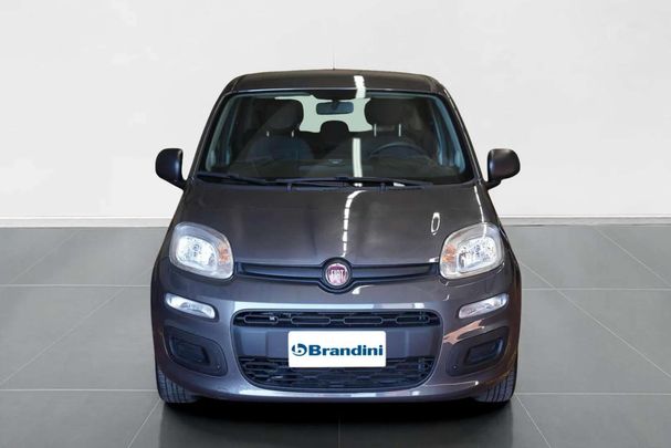 Fiat Panda 1.0 Hybrid Easy 51 kW image number 2