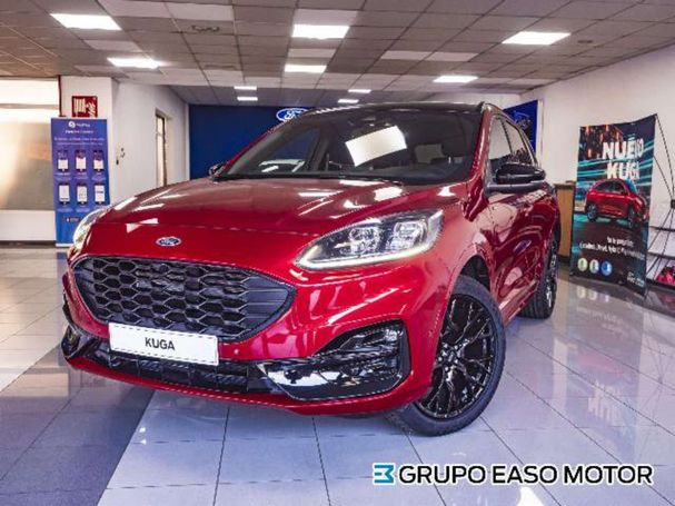 Ford Kuga 165 kW image number 1