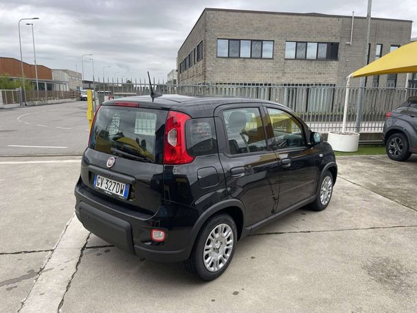 Fiat Panda 51 kW image number 2