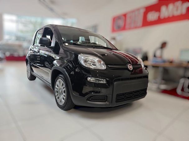 Fiat Panda 51 kW image number 3