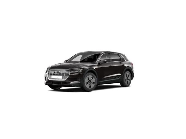 Audi e-tron 50 quattro 230 kW image number 1