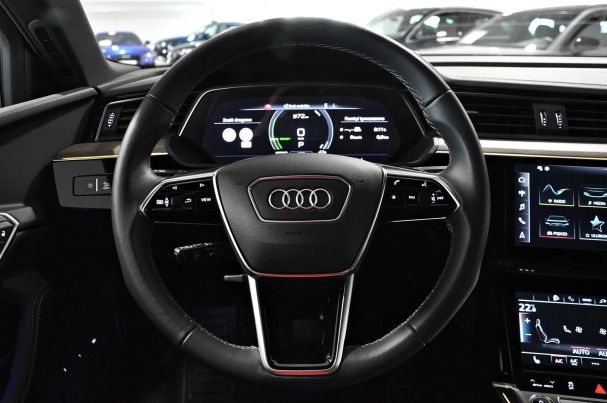 Audi e-tron 55 quattro Advanced 300 kW image number 23