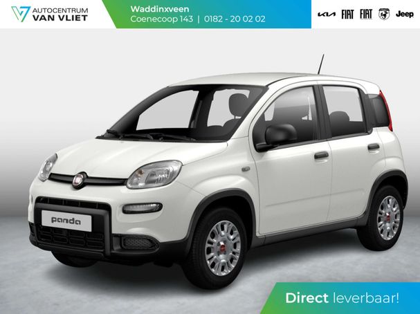 Fiat Panda Hybrid 51 kW image number 1