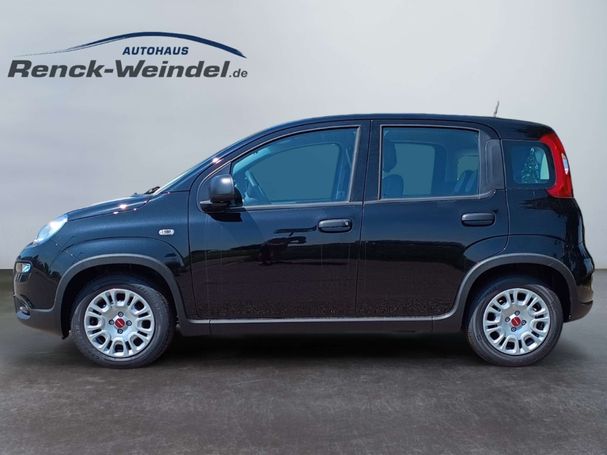 Fiat Panda 1.0 GSE 51 kW image number 3