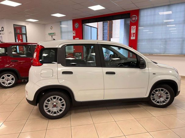 Fiat Panda 51 kW image number 5