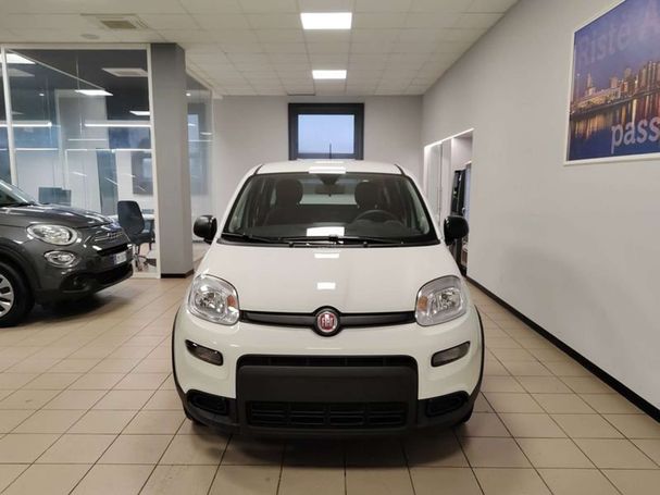 Fiat Panda 1.2 51 kW image number 2