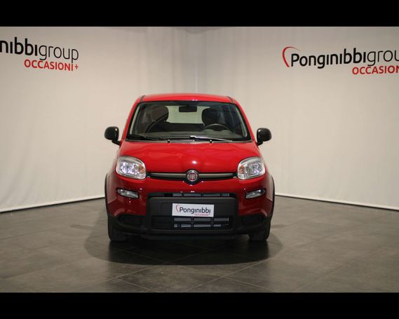 Fiat Panda 1.0 Hybrid 51 kW image number 3