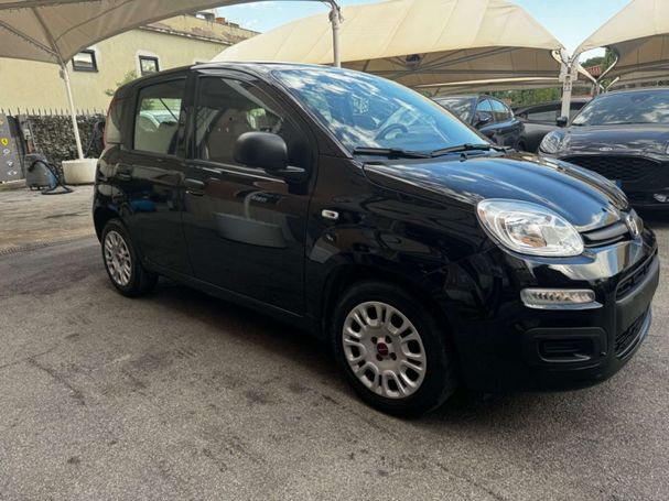 Fiat Panda 1.0 Hybrid 51 kW image number 2