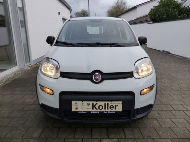 Fiat Panda 1.0 Hybrid 51 kW image number 2