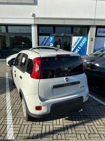 Fiat Panda 1.0 Hybrid 51 kW image number 20