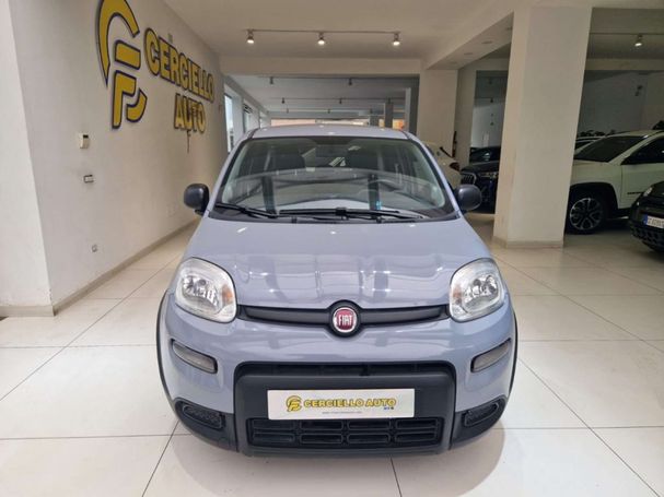 Fiat Panda 1.0 Hybrid City Life 51 kW image number 2