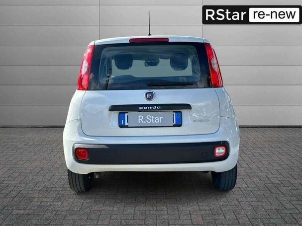 Fiat Panda 1.0 Hybrid Easy 51 kW image number 5