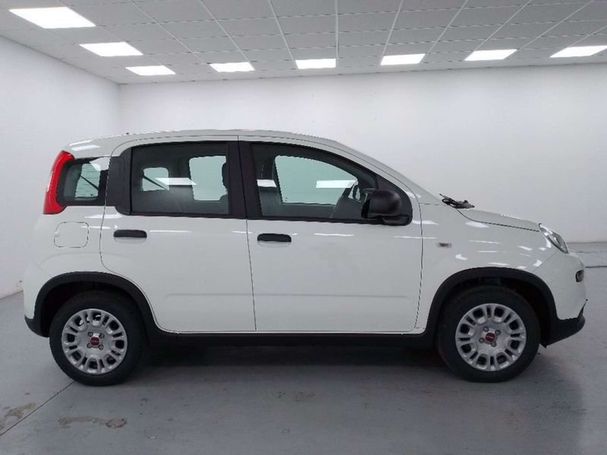 Fiat Panda 1.2 51 kW image number 5