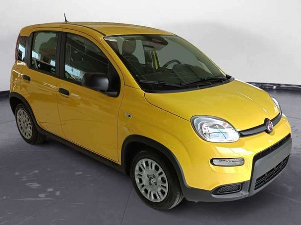 Fiat Panda 51 kW image number 6