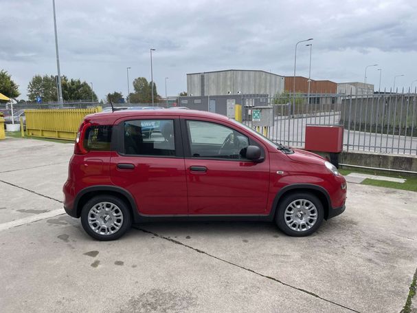 Fiat Panda 51 kW image number 5