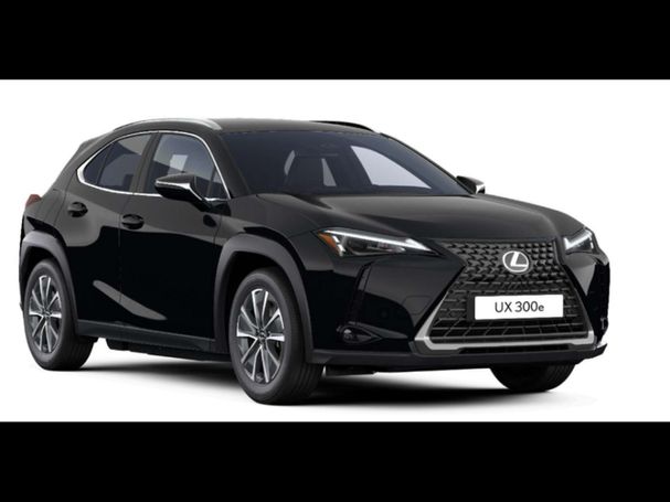 Lexus UX 300e 150 kW image number 1