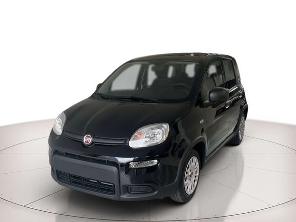 Fiat Panda 1.0 Hybrid 51 kW image number 1