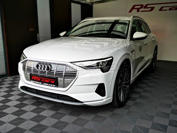 Audi e-tron 55 quattro 300 kW image number 1