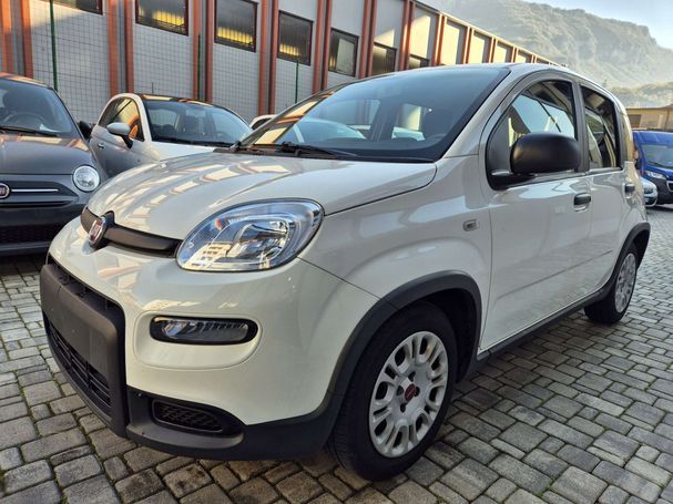 Fiat Panda 1.0 Hybrid 51 kW image number 1