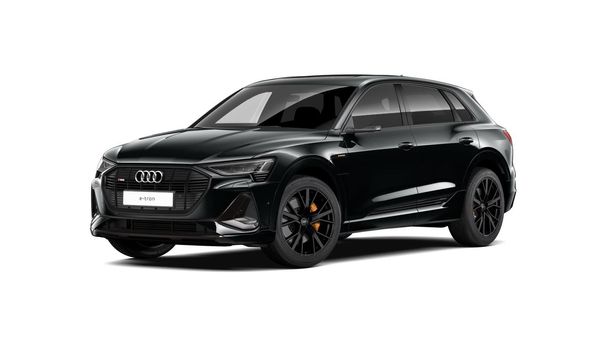 Audi e-tron 50 S-line 230 kW image number 1