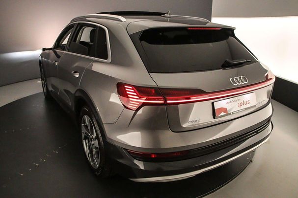 Audi e-tron 55 Advanced 300 kW image number 49