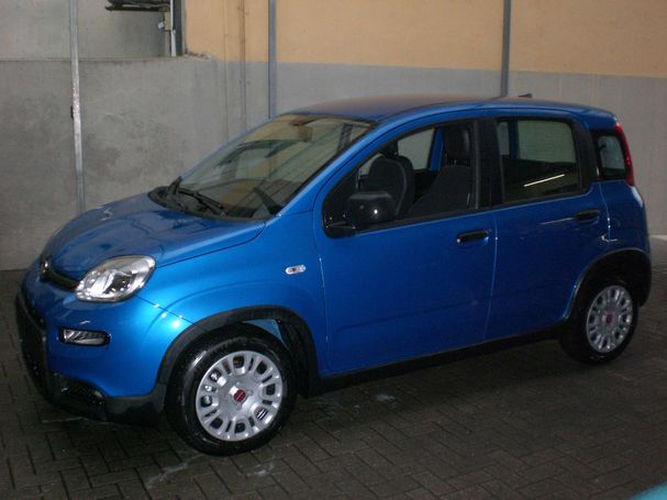 Fiat Panda 51 kW image number 1