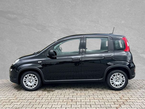 Fiat Panda 51 kW image number 5