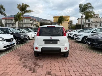 Car image 5
