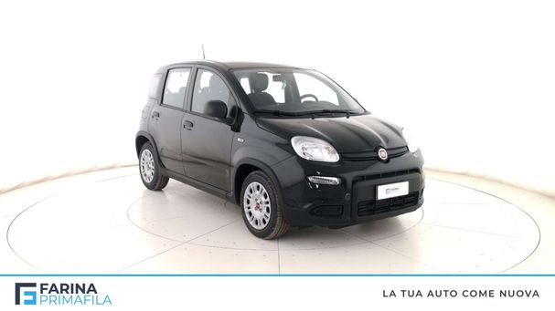 Fiat Panda 51 kW image number 3