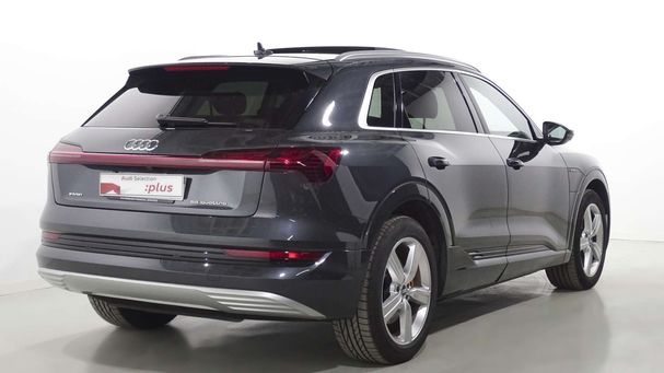 Audi e-tron 55 quattro Advanced 300 kW image number 11