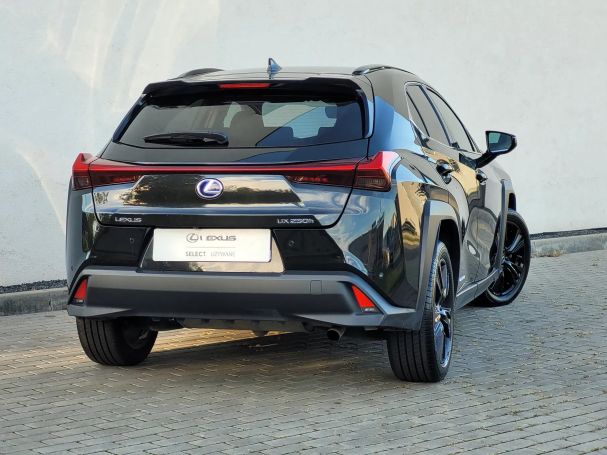 Lexus UX 250h 135 kW image number 6