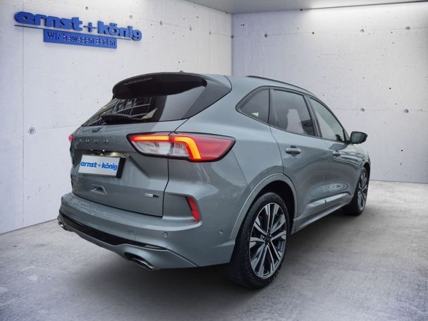 Ford Kuga 2.0 EcoBlue Hybrid ST-Line 110 kW image number 3