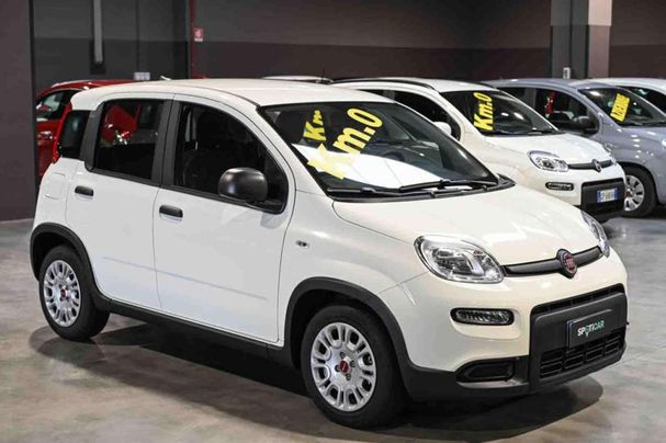 Fiat Panda 1.0 Hybrid 51 kW image number 2