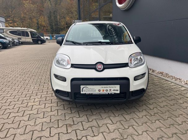 Fiat Panda 51 kW image number 2