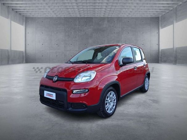 Fiat Panda 51 kW image number 1