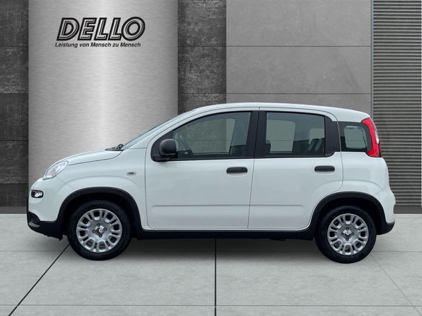 Fiat Panda 51 kW image number 3