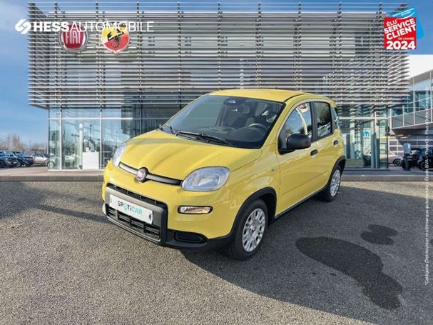 Fiat Panda 52 kW image number 1