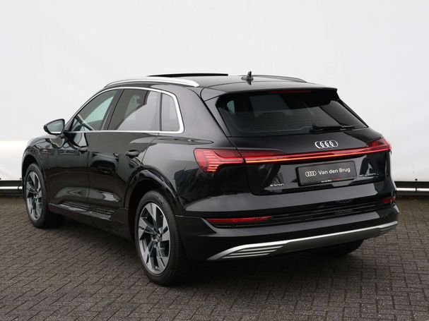 Audi e-tron 50 quattro 230 kW image number 13