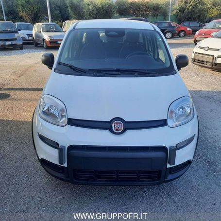 Fiat Panda 51 kW image number 4