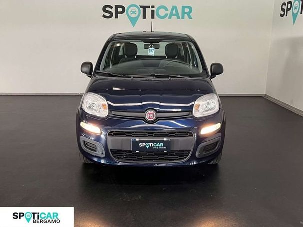 Fiat Panda 1.0 Hybrid 51 kW image number 3