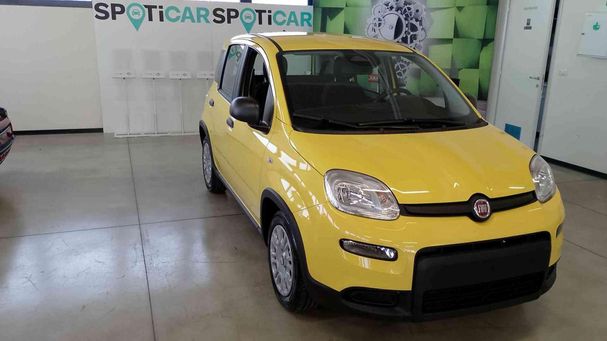 Fiat Panda 51 kW image number 2