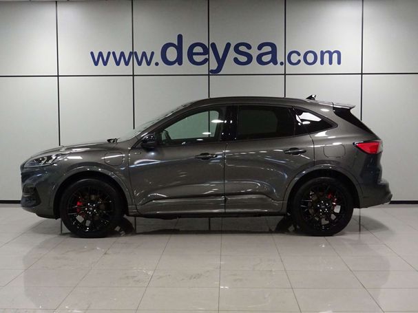 Ford Kuga 165 kW image number 5