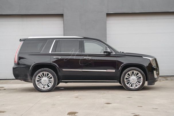 Cadillac Escalade 313 kW image number 1