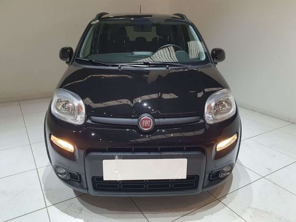 Fiat Panda 1.0 Hybrid 51 kW image number 3